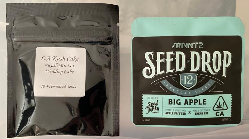 Seed Junky Genetics