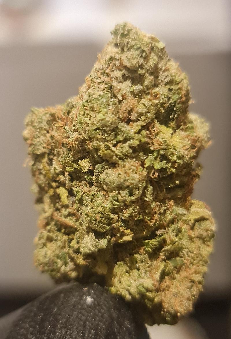 **El Chapo - (FREE RM 1ST CLASS)**