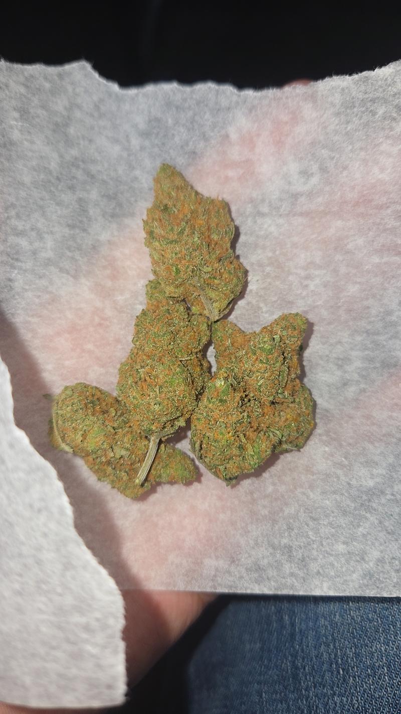 Silver Bubble (dutch import)