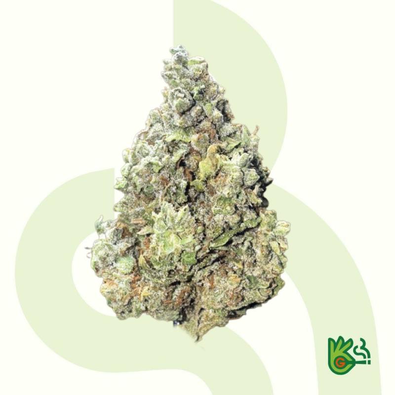 Chocolope Haze