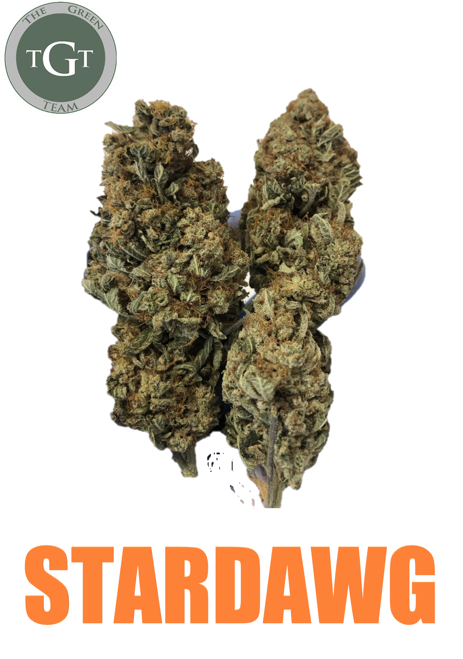 STARDAWG