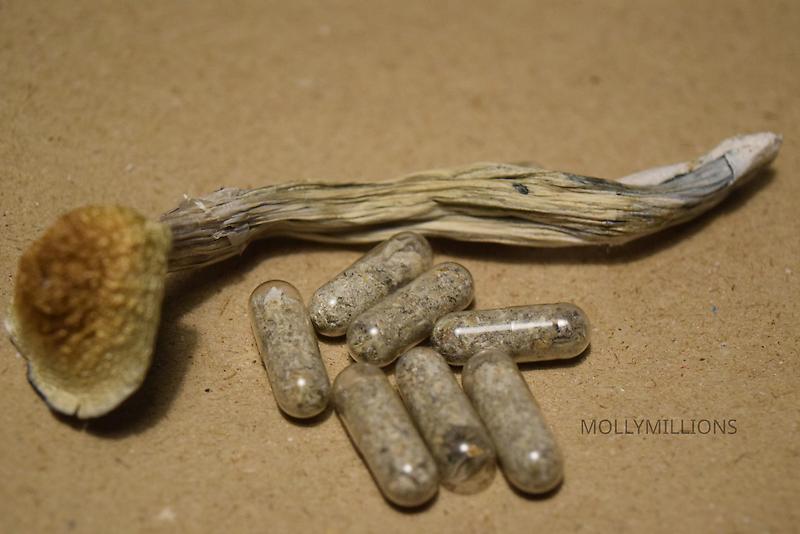 Psilocybin Microdose Capsules