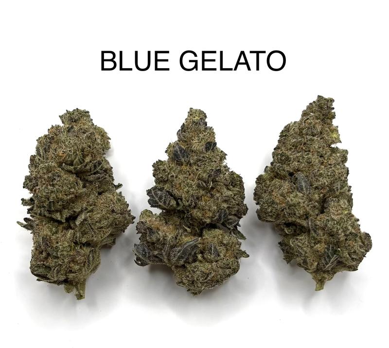 BLUE GELATO