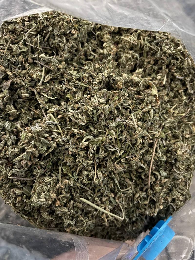 ⭐️🐶 STARDAWG DUST 🐶⭐️