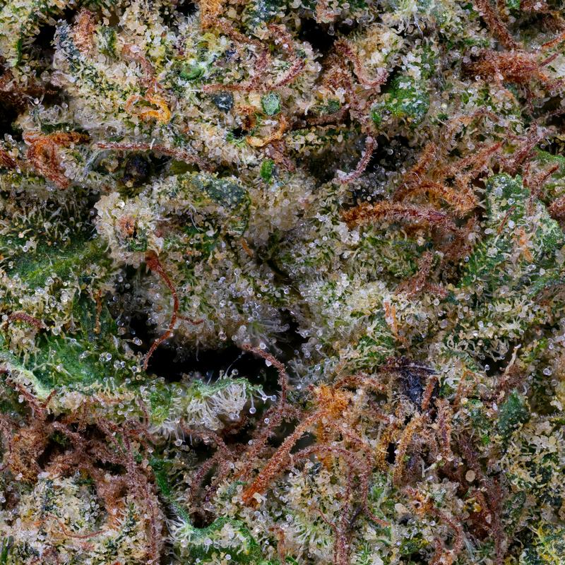 Banana Cream