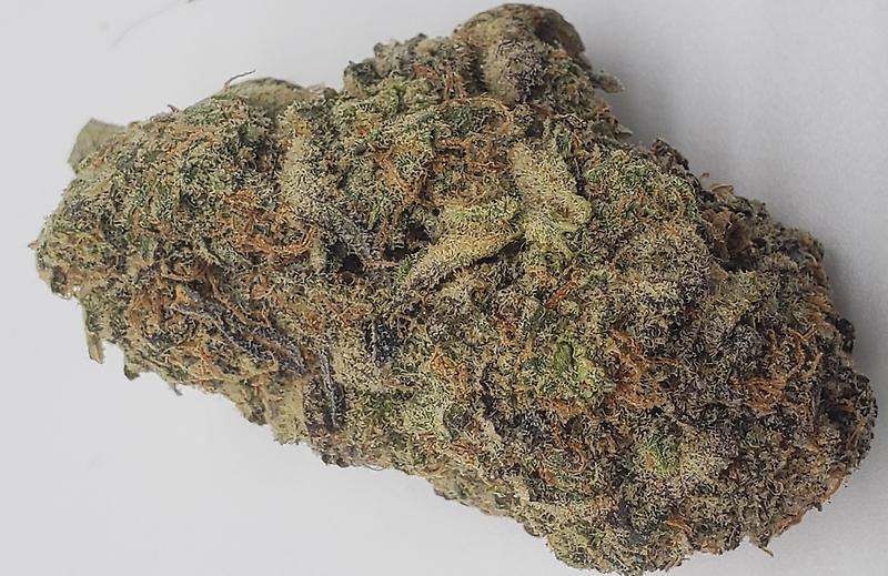 CEREAL MILK (HYBRID)