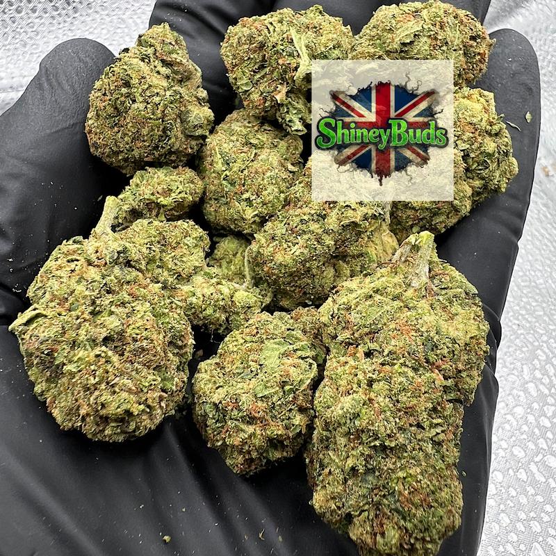 🇺🇸 Lemon Cherrylato (Mids)