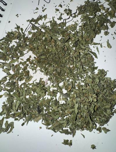 Dawg Shake