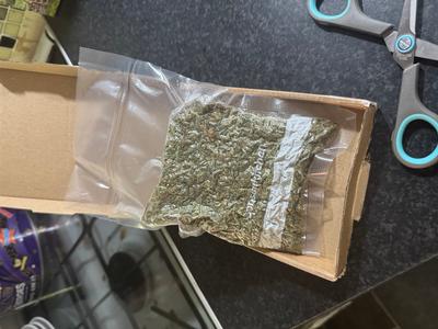 CALI TRIM SHAKE TROPICALLY NERDS