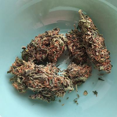 Gelato Cookies