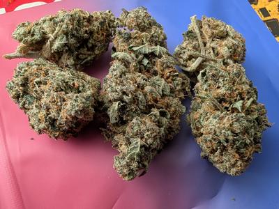Guava Dawg