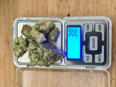 KING ZHEETOZ TOPSHELF ORGANIC LED FLOWER