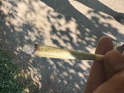 Super Boof
