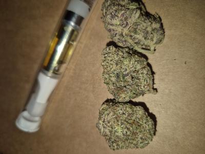 UK Flower 💫