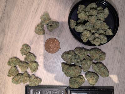 Cali Mids SPECIALS
