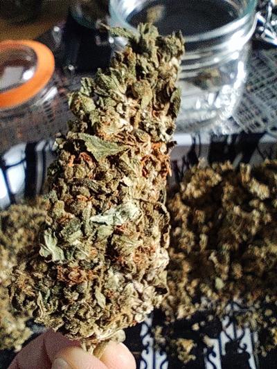 3oz Mega Bud Bars