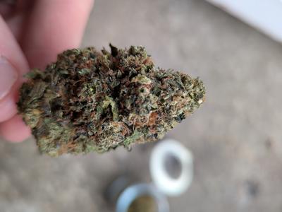 Review photo 1