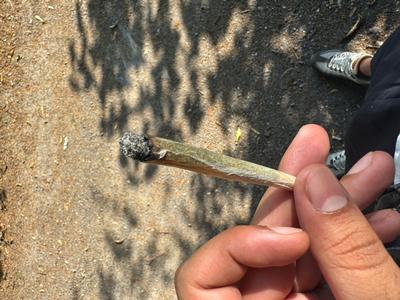 UK Exotics