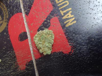 Stardawg Shake/Dust