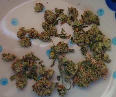Review photo 2