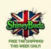 ShineyBudsUK