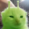 gurper