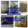 Ukgrower2