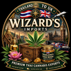 Wizard_th