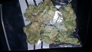 Kushmaster