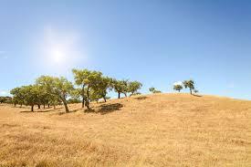 alentejo