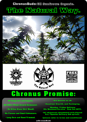 ChronusBuds