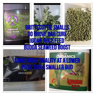 Ukgrower2