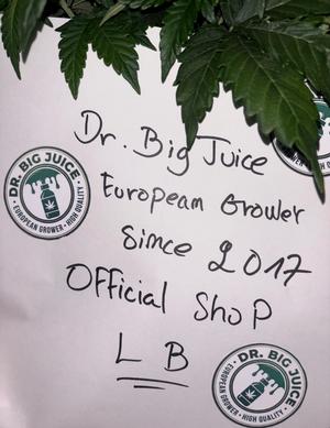 Dr.BigJuice
