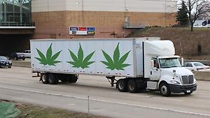 {where to buy marijuana online}