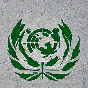 little biggy world embassy