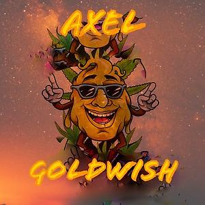 Axelgoldwish