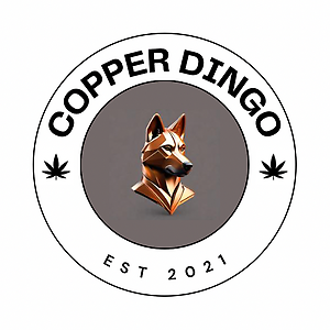 CopperDingo21