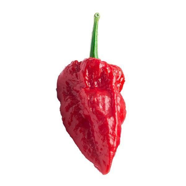 duppychilli