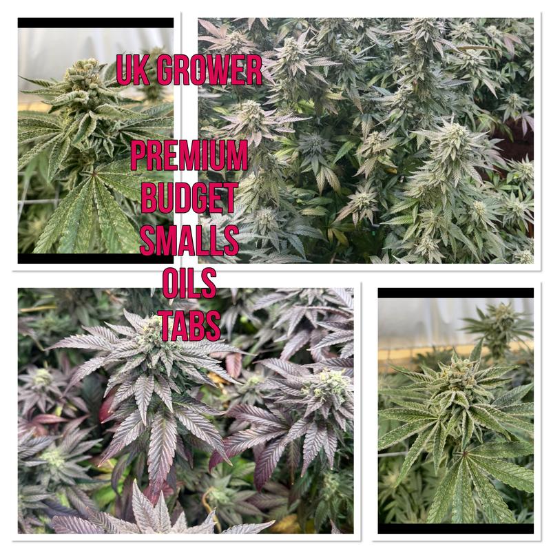 Ukgrower2