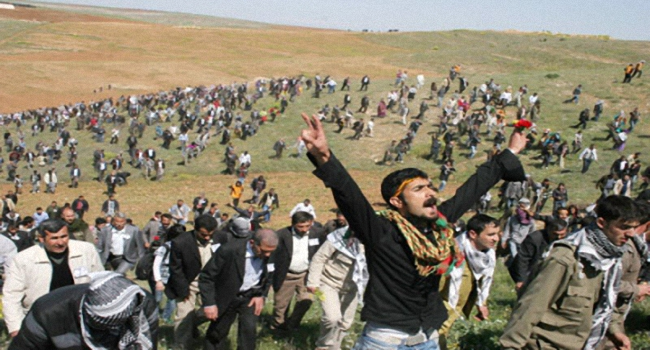 {littlebiggy initiatives}