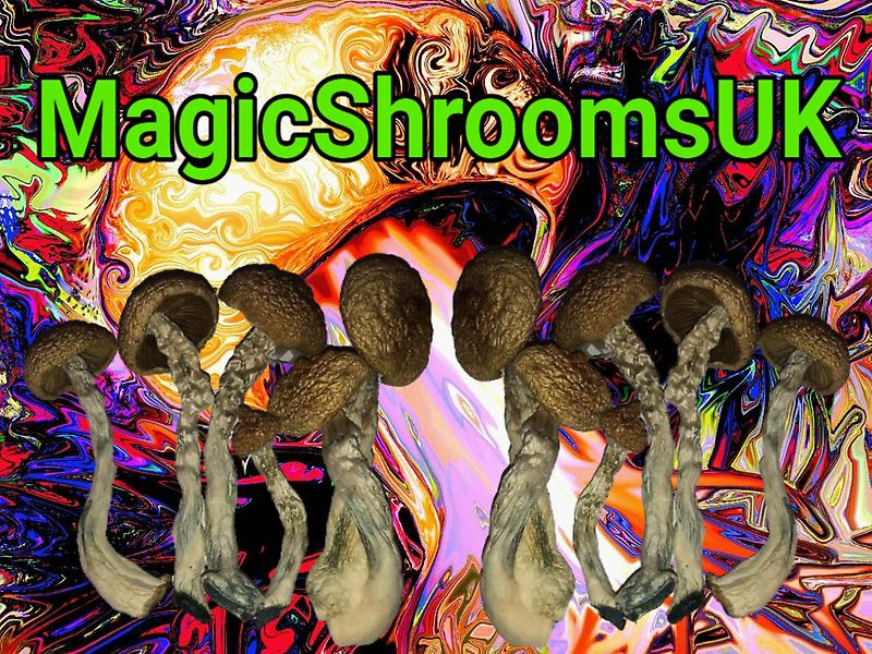 MagicShroomsUK