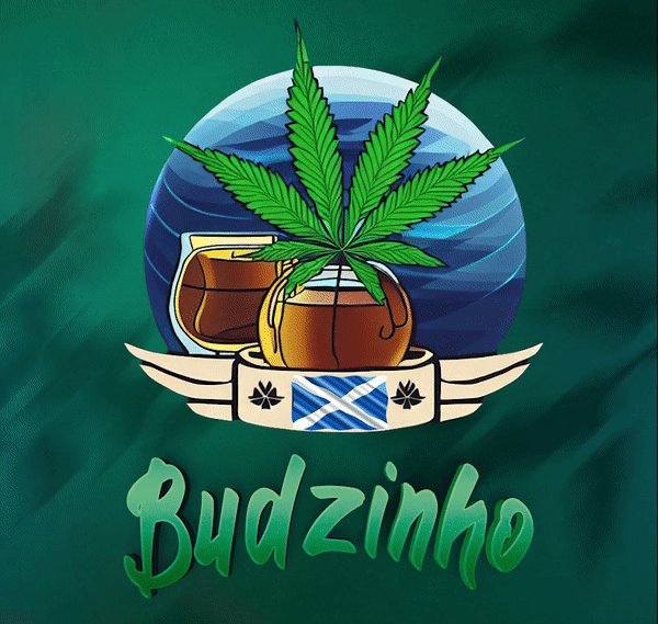 Budzinho