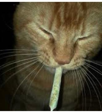 Kitt
