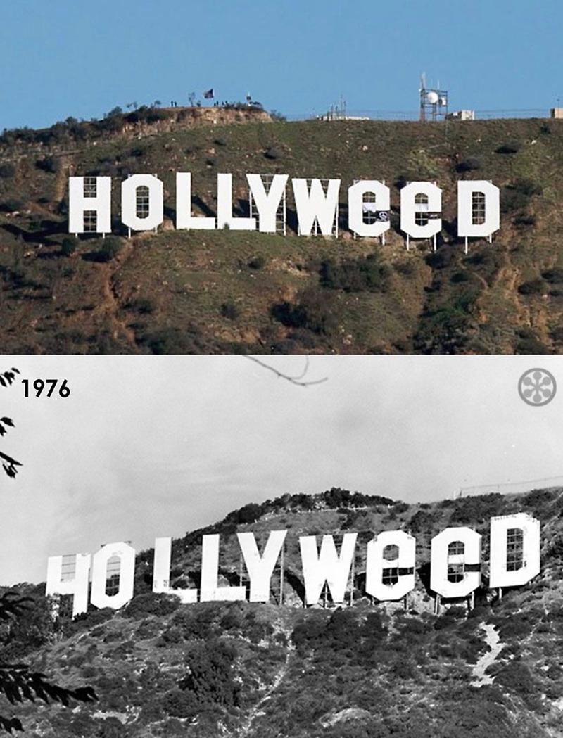 Hollyweed