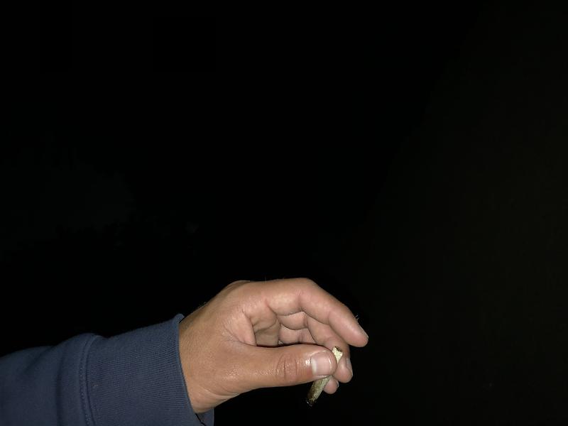 Bittleliggie