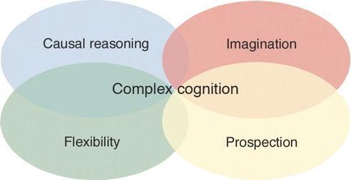 what's in your stack?