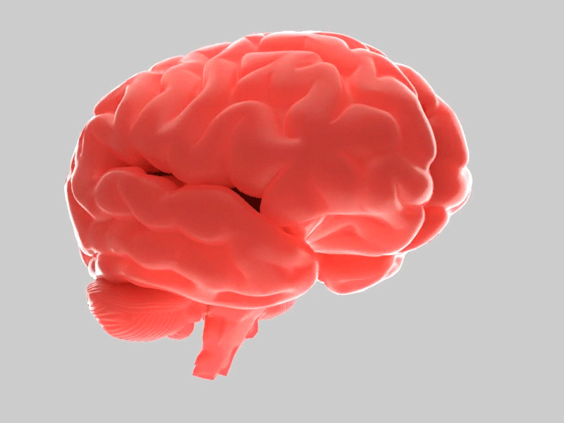 {brain hacking}