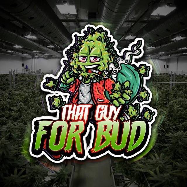 thatguyforbud