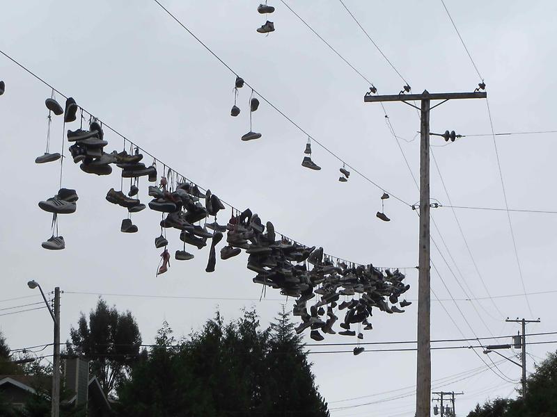 {where to buy marijuana online}