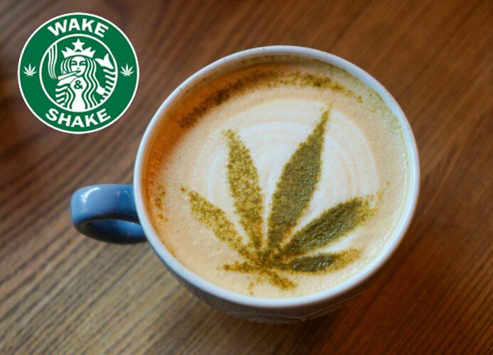 Wake and Shake
